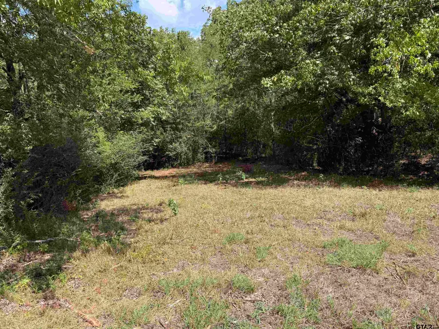 TBD Fm 768 N, Jacksonville, TX 75766 - #2