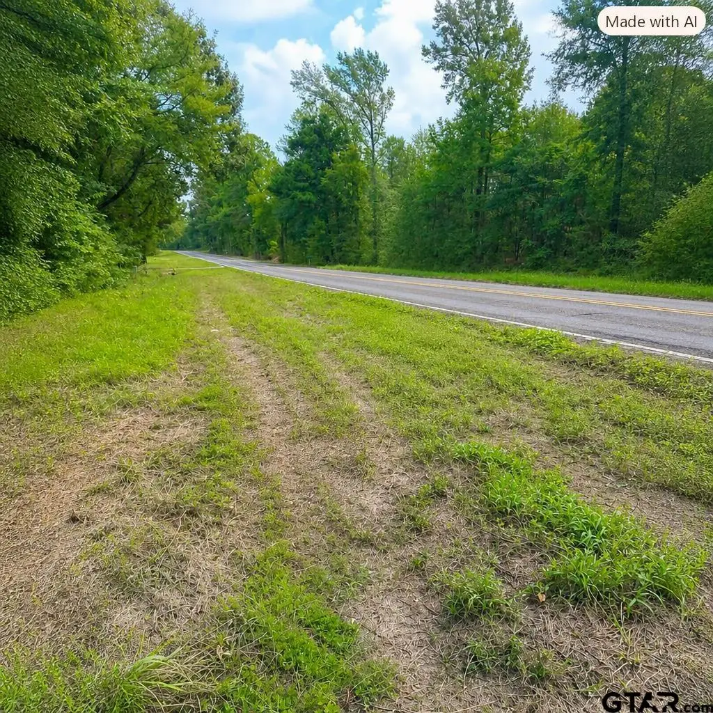 21557 Fm 2767, Winona, TX 75792 - #1