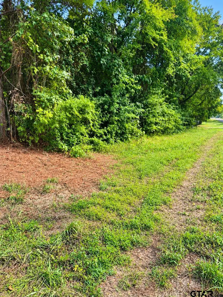 21557 Fm 2767, Winona, TX 75792 - #2