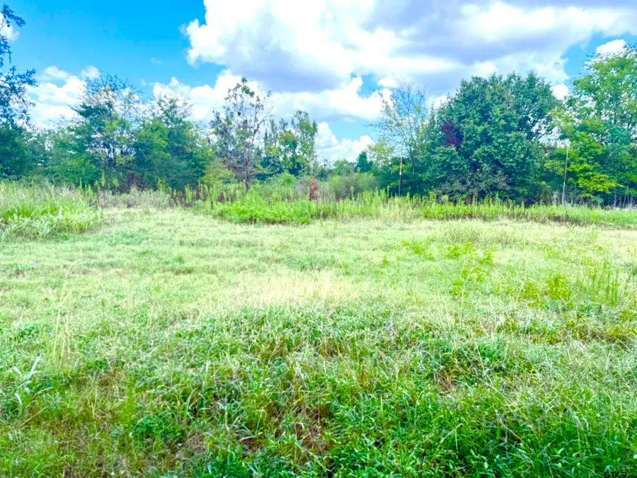 215 E Henderson St, Reklaw, TX 75784 - #3
