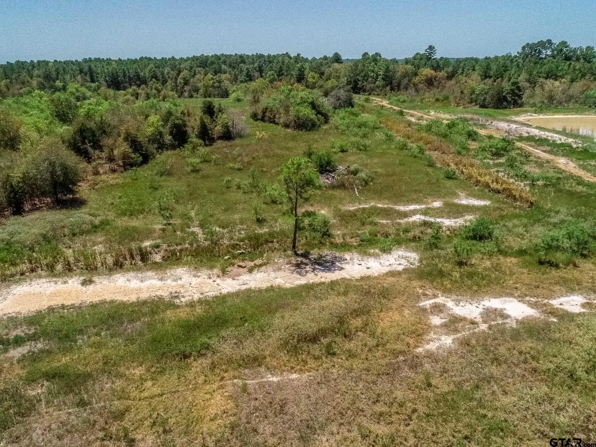 4661 Cr 335, Palestine, TX 75803 - #1