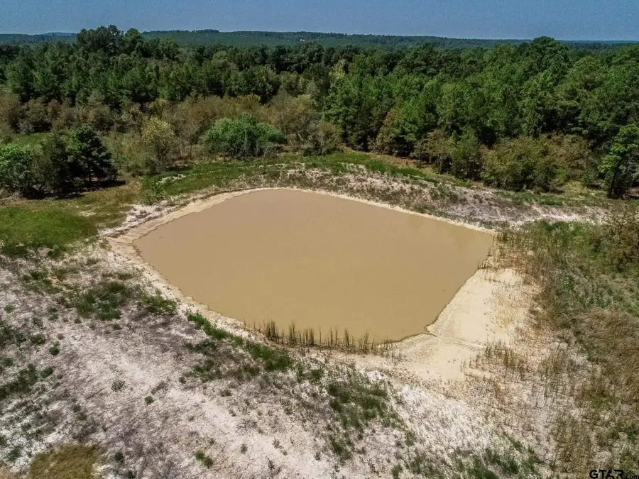 4661 Cr 335, Palestine, TX 75803 - #3