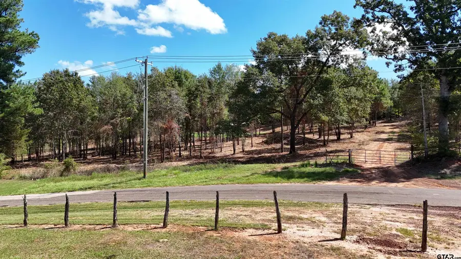 10955 Cr 1141, Tyler, TX 75709 - #3