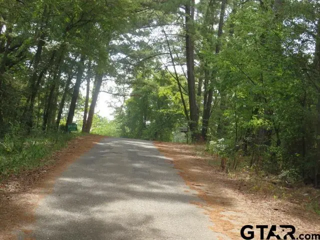211 S Kingswood, Flint, TX 75762 - #2