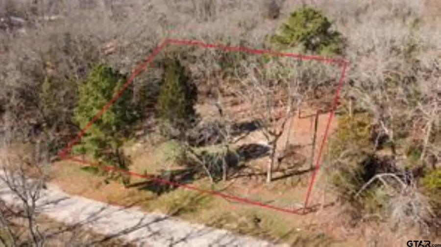 407, 411 Long Shadow, Murchison, TX 75778 - #2