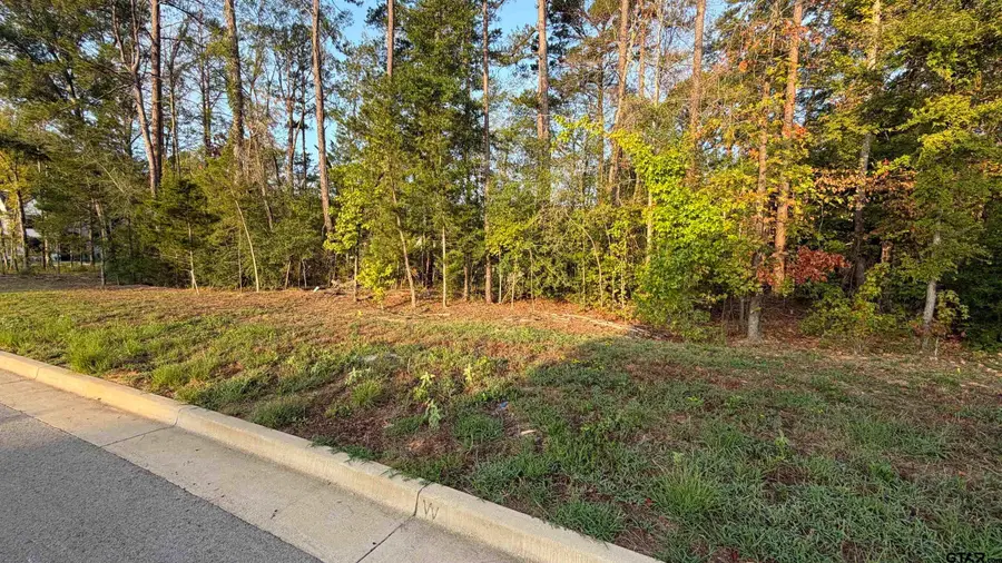 7933 Maple Ln, Tyler, TX 75703 - #3