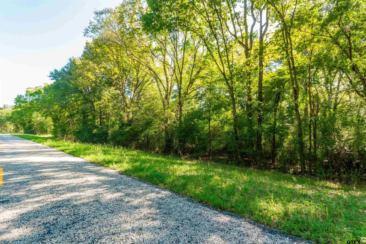 TBD Fm 2064 N, Troup, TX 75789 - #1