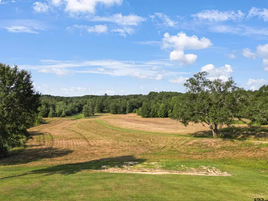 102 Pr 3174, Gilmer, TX 75644 - #3