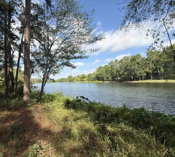 13254 County Road 468, Tyler, TX 75704