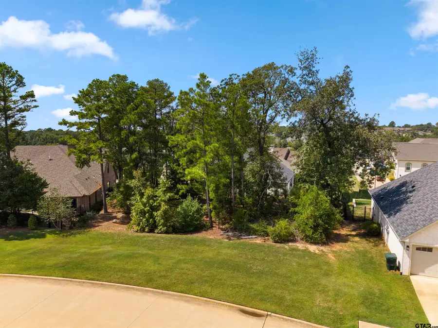 7318 Crosswater Cv, Tyler, TX 75703 - #2