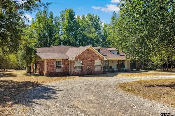 111 County Road 4134, Pittsburg, TX 75686