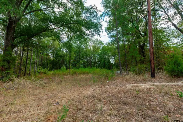 744 Fm 555, Gilmer, TX 75645