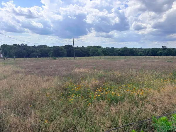 TBD County Road 1140, Tyler, TX 75709
