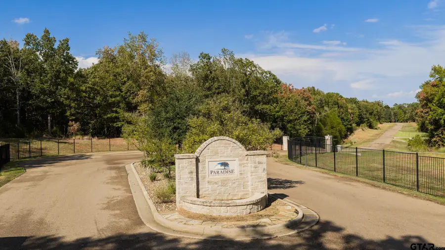 Lot 37 N Pr 52416, Leesburg, TX 75451 - #3