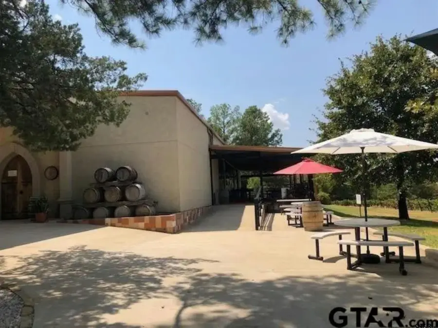 21553 Merlot Ln, Tyler, TX 75703 - #3