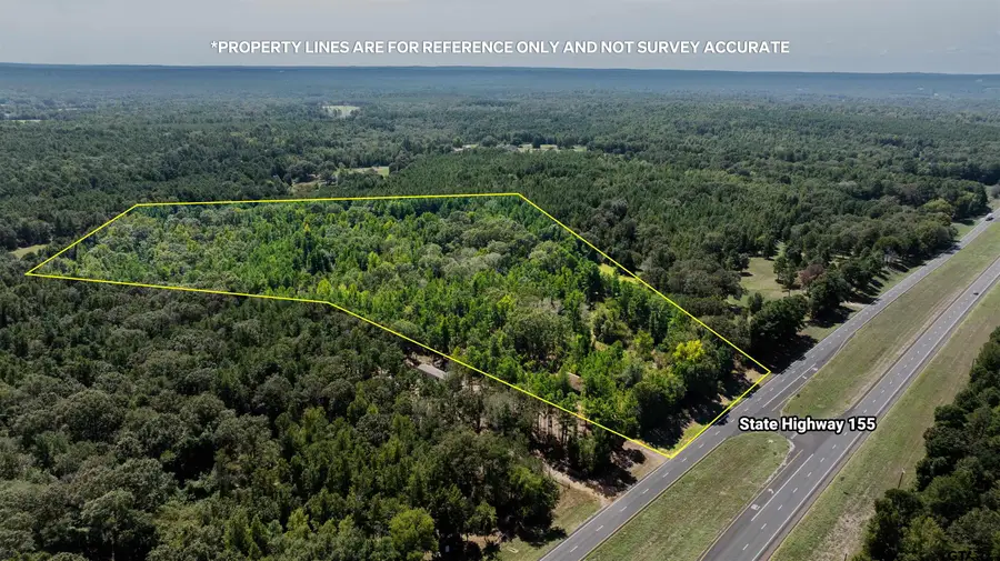 TBD State Highway 155, Palestine, TX 75803 - #2