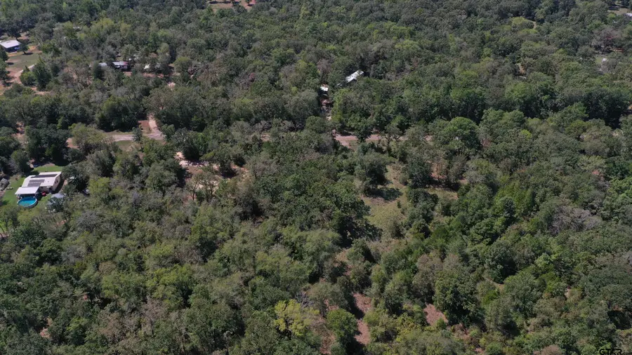 347 County Road 4252, Palestine, TX 75803 - #3