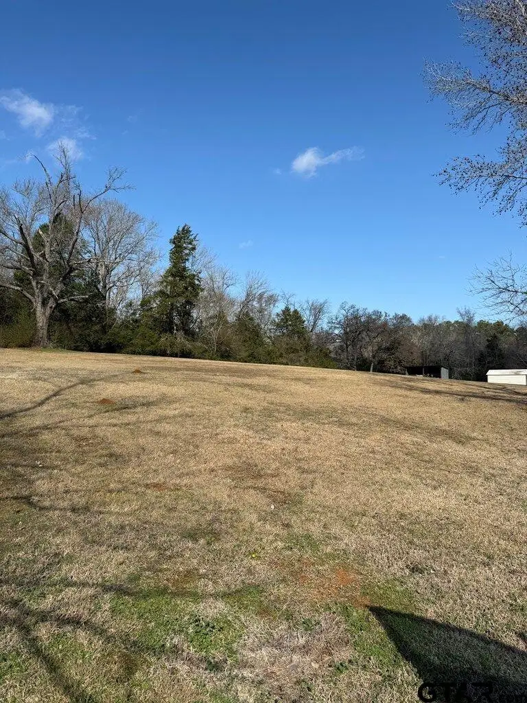 517 An County Road 147, Palestine, TX 75801 - #3