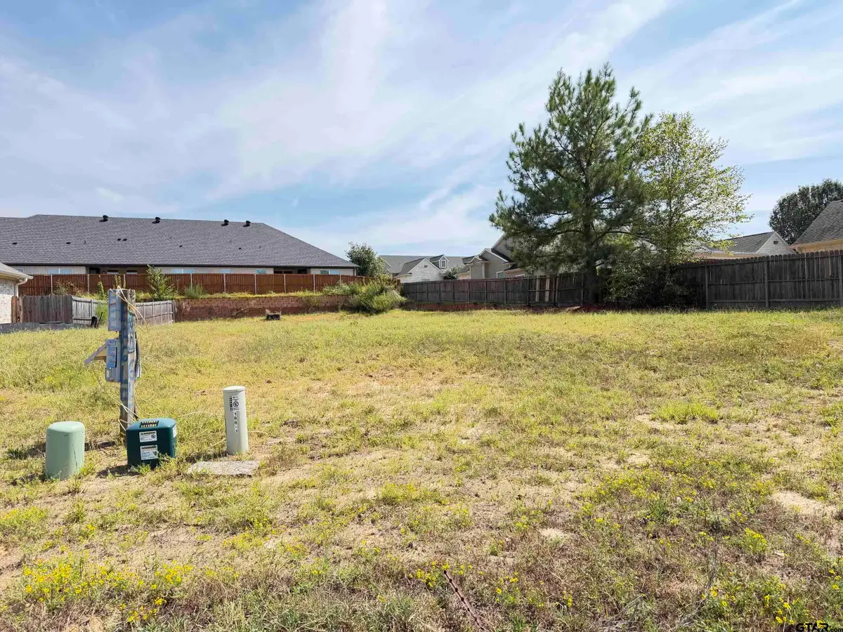 188 Letha Court, Tyler, TX 75702 - #1