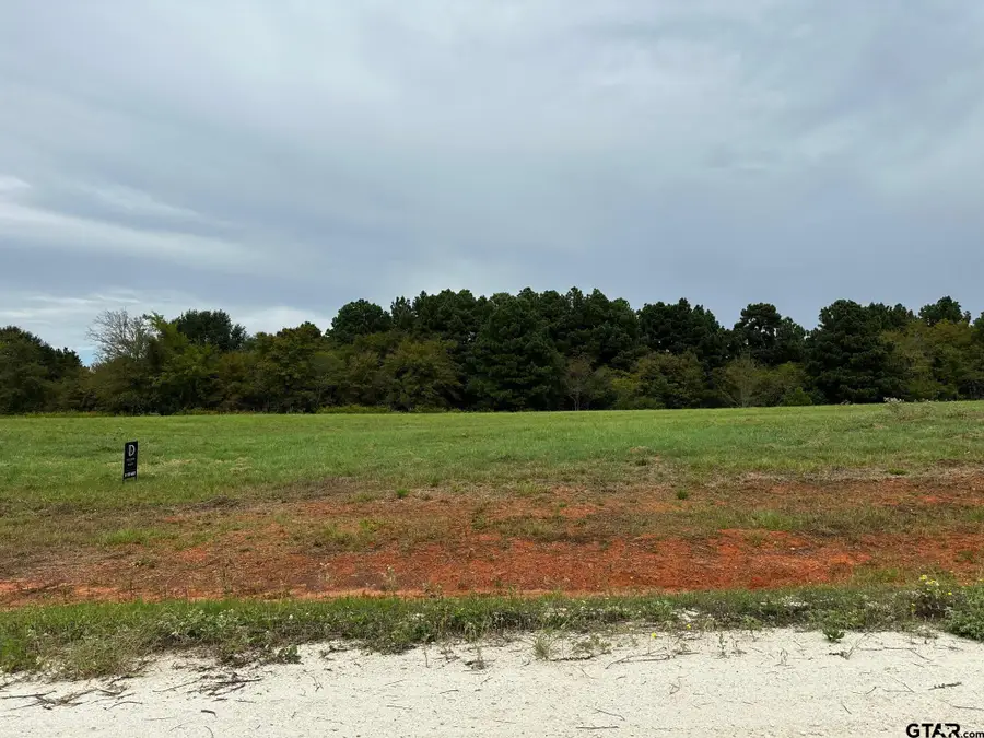16724 Caeli Heights Court (lot 13), Winona, TX 75792 - #2