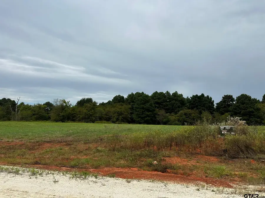 16724 Caeli Heights Court (lot 13), Winona, TX 75792 - #3