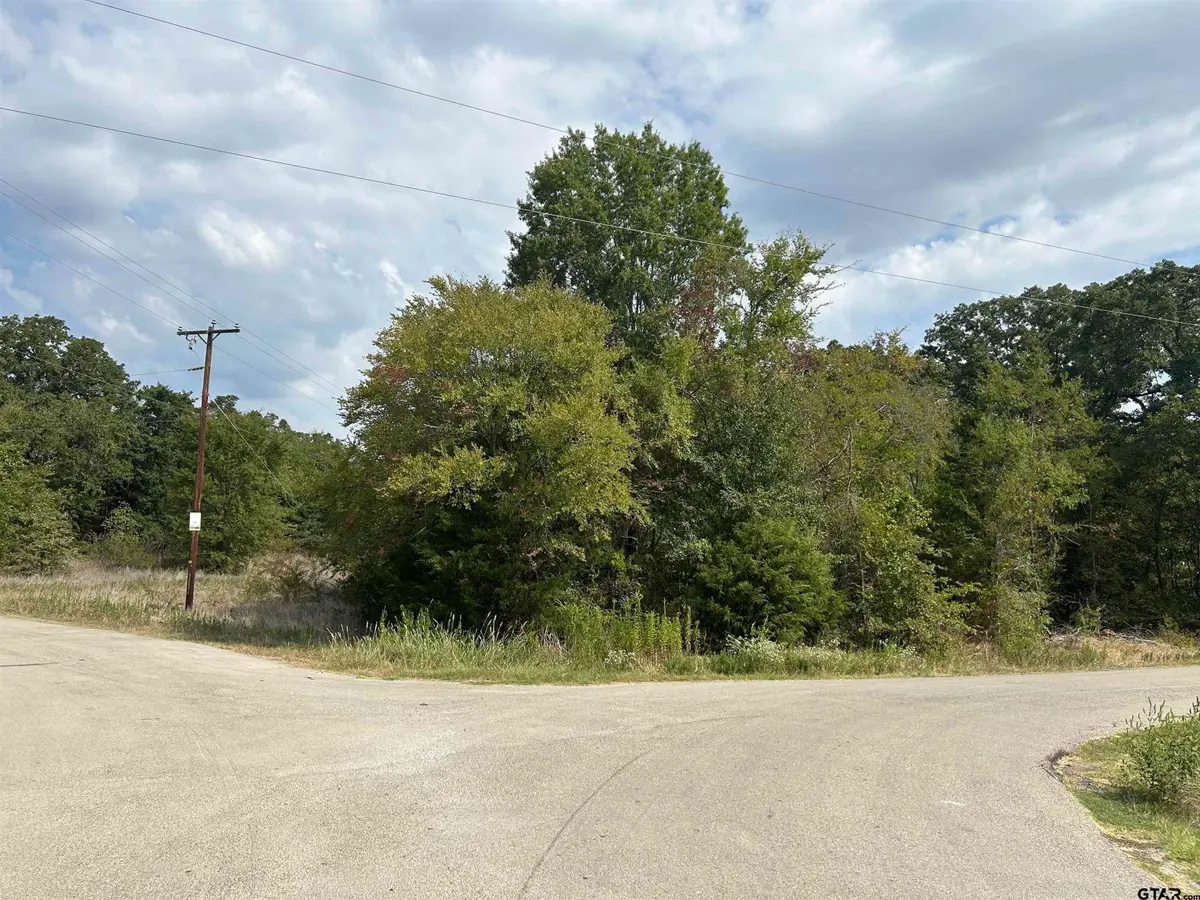 TBD Four Oaks Cir, Kemp, TX 75143 - #1