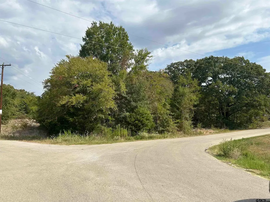 TBD Four Oaks Cir, Kemp, TX 75143 - #2