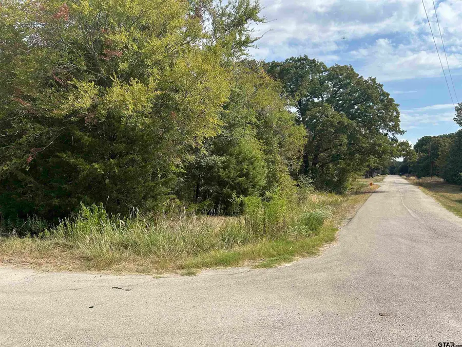 TBD Four Oaks Cir, Kemp, TX 75143 - #3
