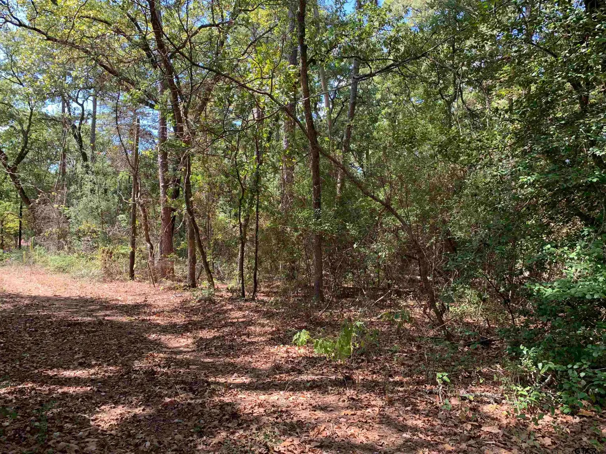 115 Private Road 7533, Hawkins, TX 75765 - #1