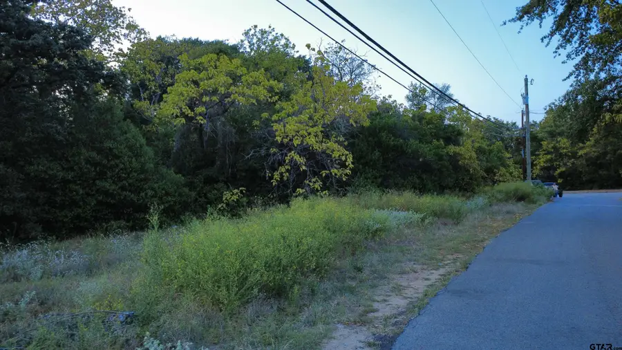713 Britton Ave., Tyler, TX 75701 - #3