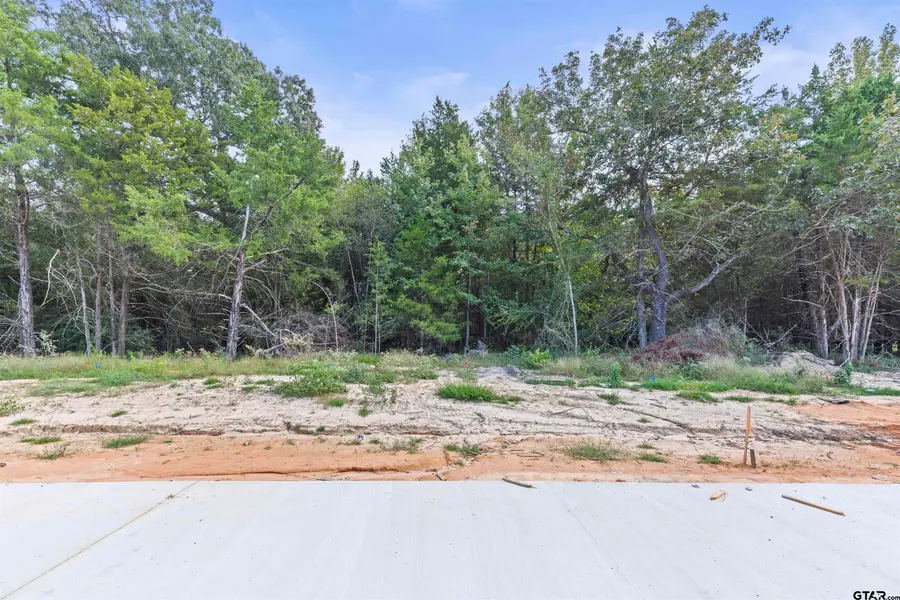 13932 Cedar Hill Ln (lindale Isd), Tyler, TX 75704 - #2