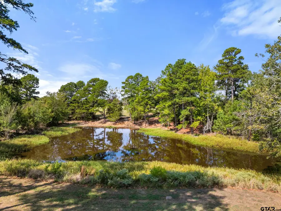 4050 Fm 16 W, Tyler, TX 75706 - #3