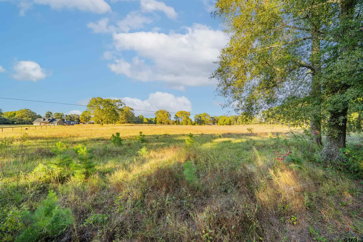 1101 Firetower Rd, Hallsville, TX 75650 - #1
