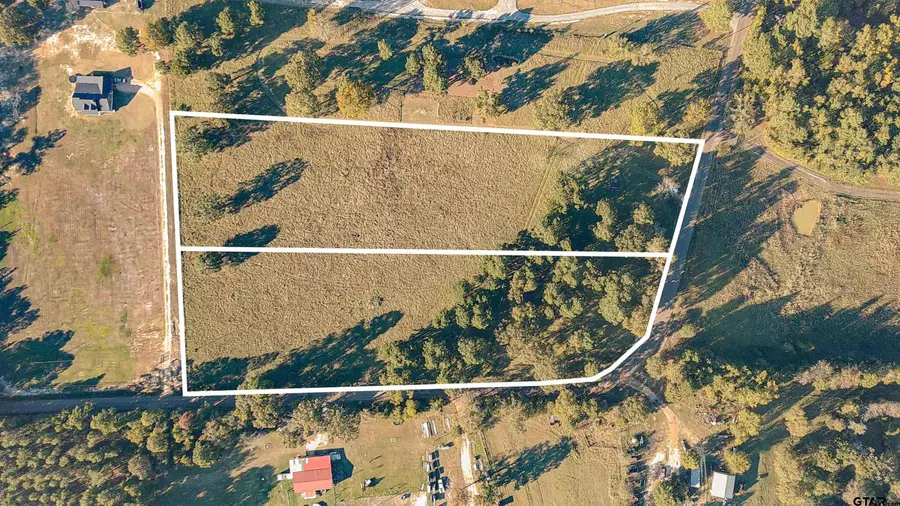 1101 Firetower Rd, Hallsville, TX 75650 - #2