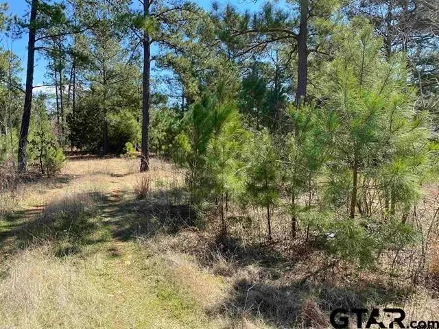 TBD Cr 1507- 12.54 Acres, Jacksonville, TX 75766 - #1