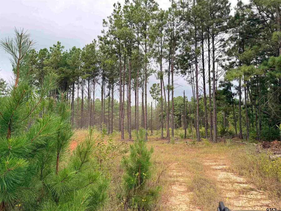 TBD Cr 1507- 12.54 Acres, Jacksonville, TX 75766 - #2