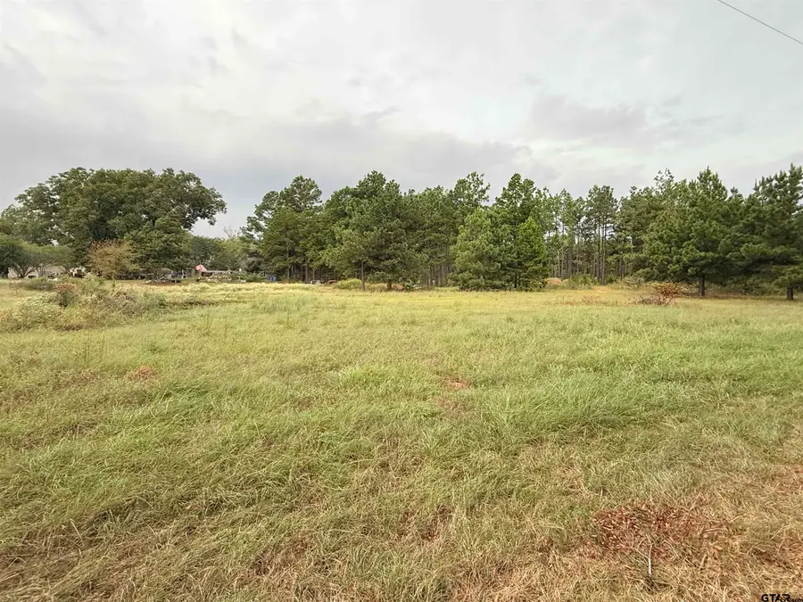 TBD Cr 1507- 12.54 Acres, Jacksonville, TX 75766 - #3