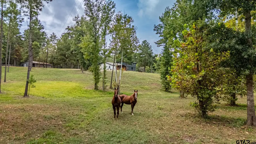 6411 Fm 23, Rusk, TX 75785 - #2