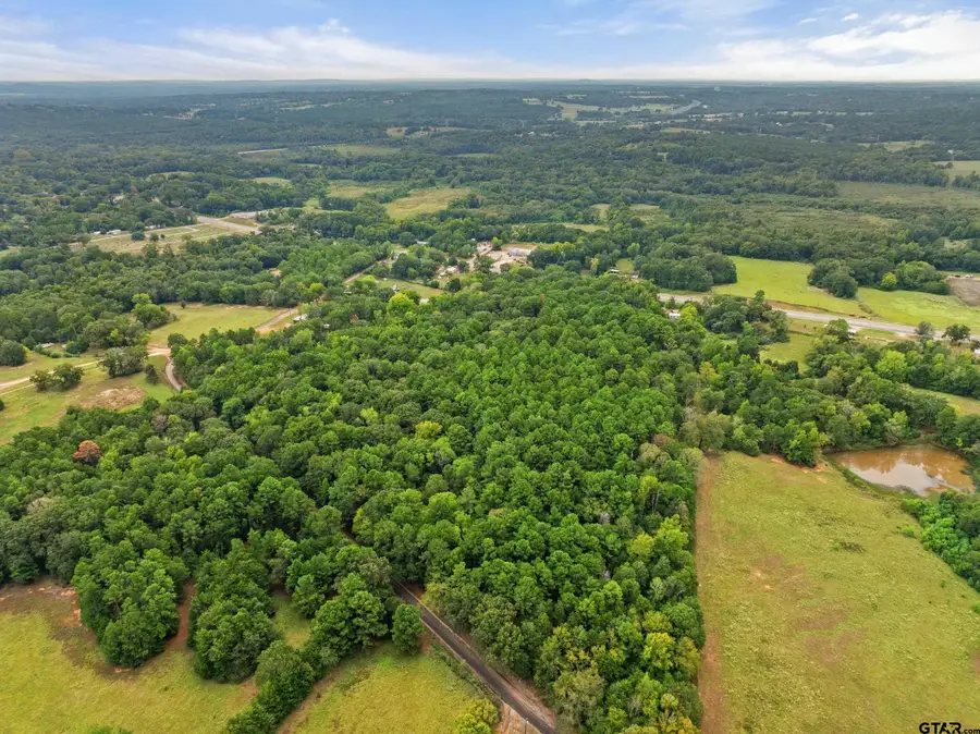 0 Us Highway 175, Frankston, TX 75763 - #2