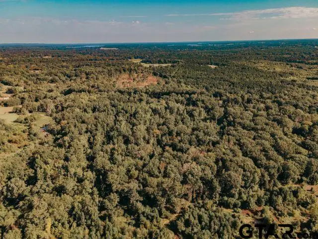 TBD Hwy 110 S Highway 110, Troup, TX 75789 - #3