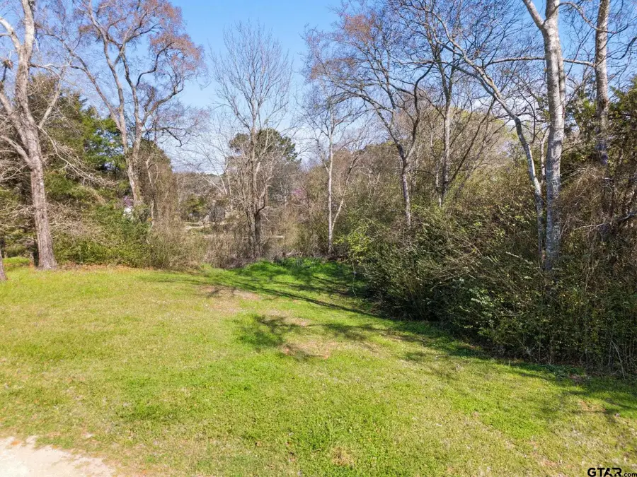 TBD Cr 3504, Bullard, TX 75757 - #3