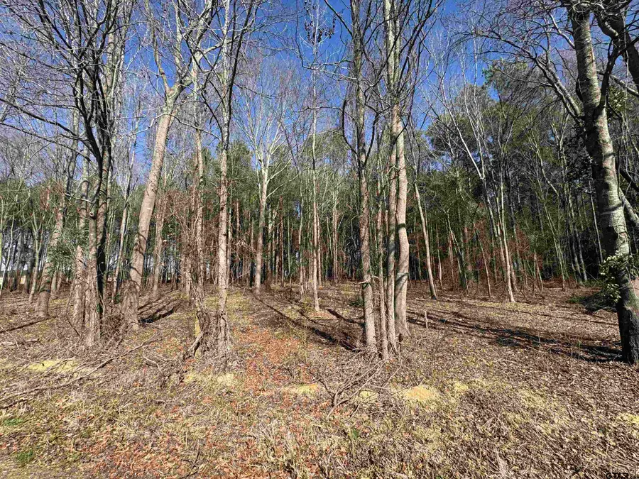 TBD Cr 4310 & 4313, Pittsburg, TX 75686 - #2