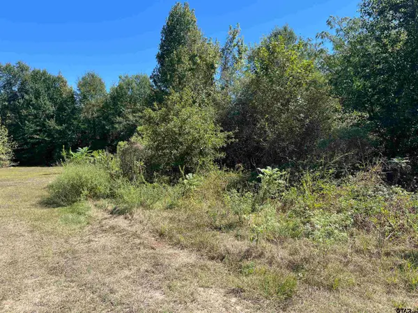TBD Tract 1 Gene Dr., Mt Pleasant, TX 75455