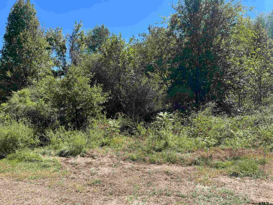 TBD Tract 1 Gene Dr., Mount Pleasant, TX 75455 - #2
