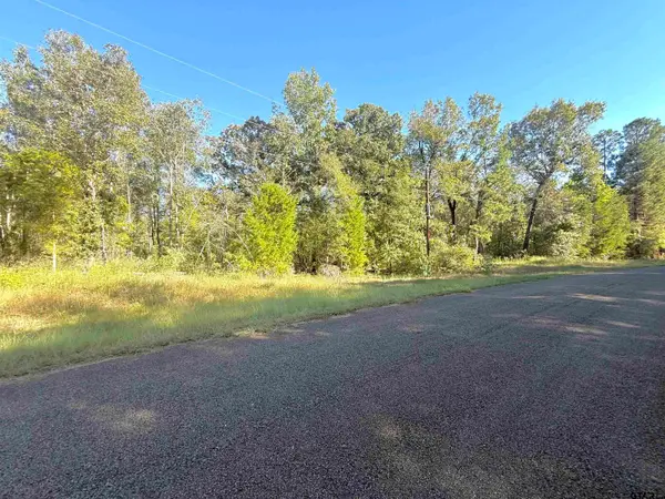 TBD Tr 6G Cr 4606, Troup, TX 75789