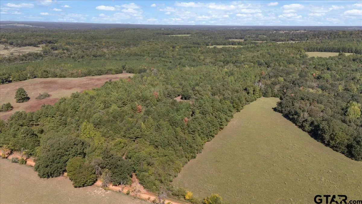 TBD County Road 4301, Jacksonville, TX 75766 - #1