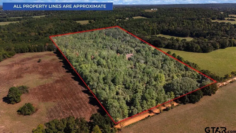 TBD County Road 4301, Jacksonville, TX 75766 - #2
