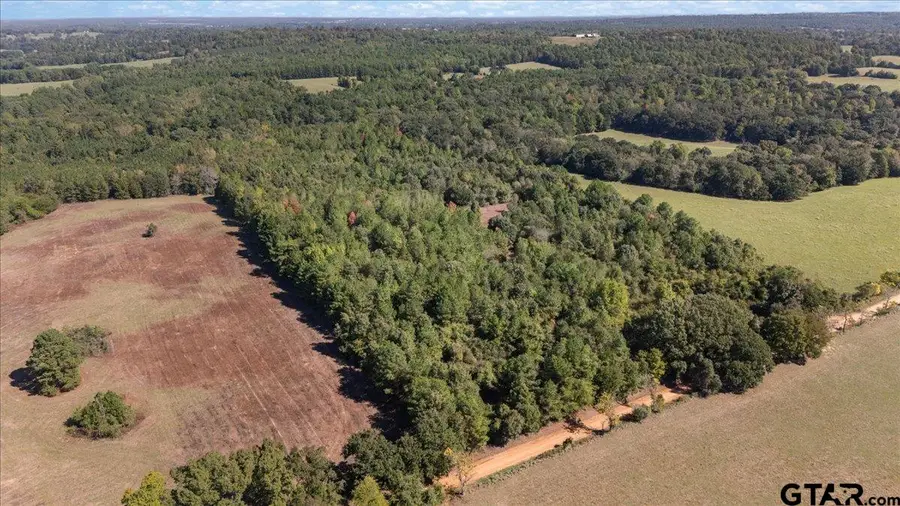 TBD County Road 4301, Jacksonville, TX 75766 - #3