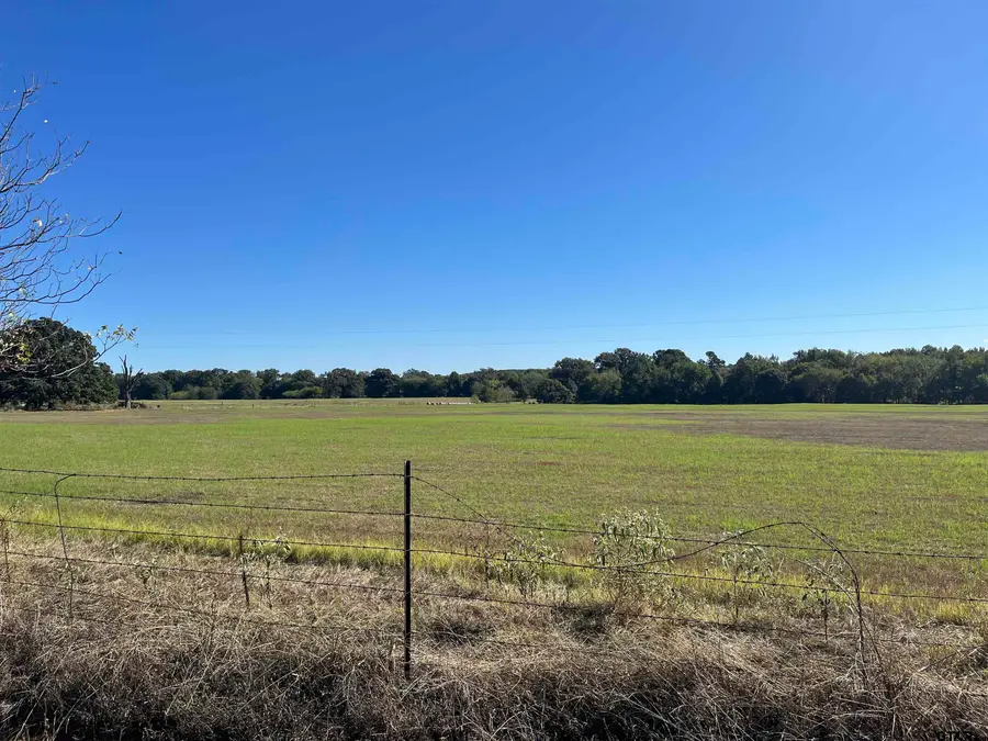 TBD Tract 3 Cr 4875, Mount Pleasant, TX 75455 - #2