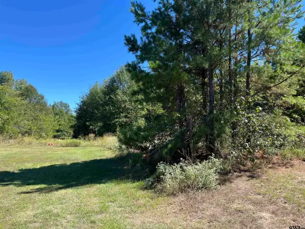 TBD Ford Rd., Mt Pleasant, TX 75455